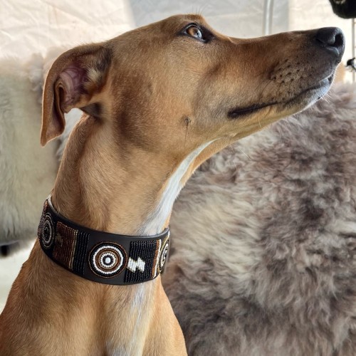 Greyhound Maasai Beaded Dog Collar Milo Pi Luxury Dog Beds