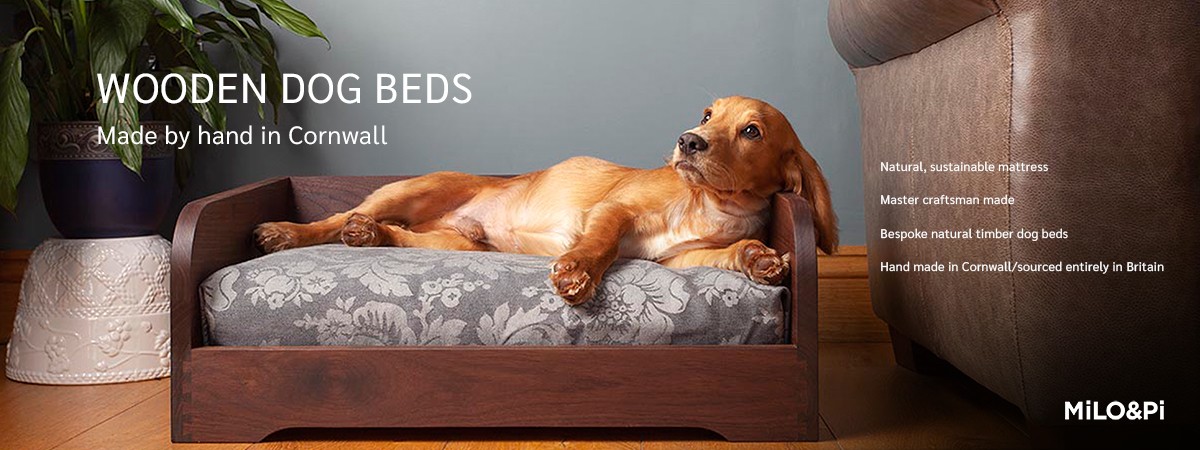 Bluebell Wooden Dog Bed Wooden Dog Beds Onyourbed